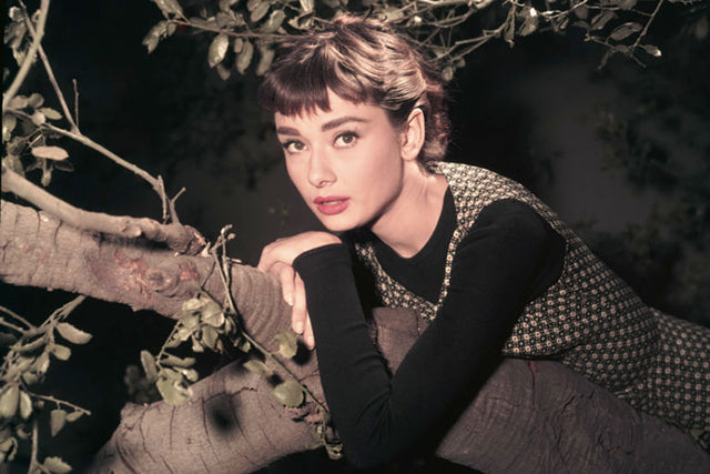6 Lesser-Known Facts About Audrey Hepburn
