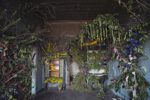 Abandoned Detroit House Gets Adorned with 4000 Flowers