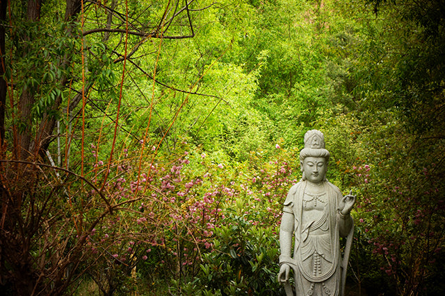 Kuan Yin, The Teacher