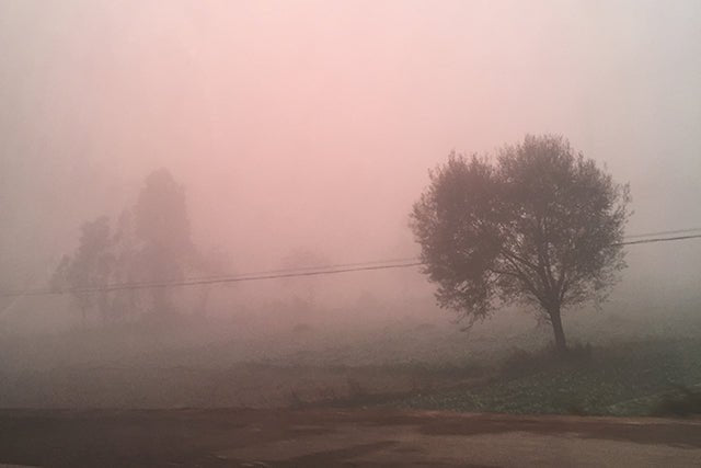 The Road Less Traveled - Utopiat