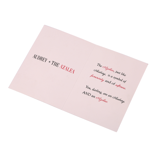 Audrey + the Azalea Hand Illustrated Greeting Card - Utopiat