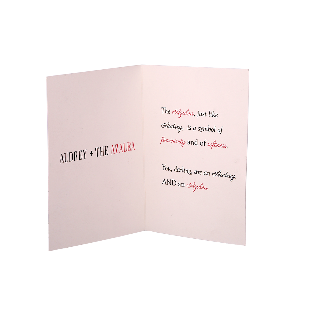 Audrey + the Azalea Hand Illustrated Greeting Card - Utopiat